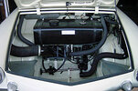trunk_2_16_02.jpg