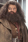 rubeus-hagrid.jpg