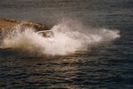 splash s.jpg