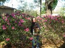 Lynne in flowers 005.jpg