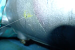 2011 07 21_1699s.jpg