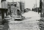 Amphicar2.jpg