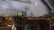 Freds oil black!.JPG